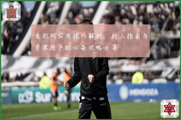 竞彩网实用技巧解析：新人指南与资深用户的必备攻略分享
