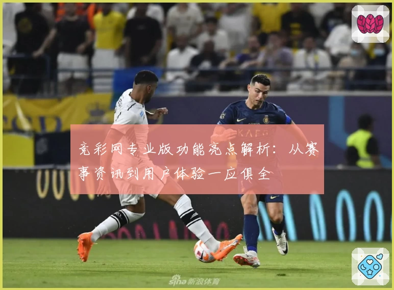 竞彩网专业版功能亮点解析:从赛事资讯到用户体验一应俱全